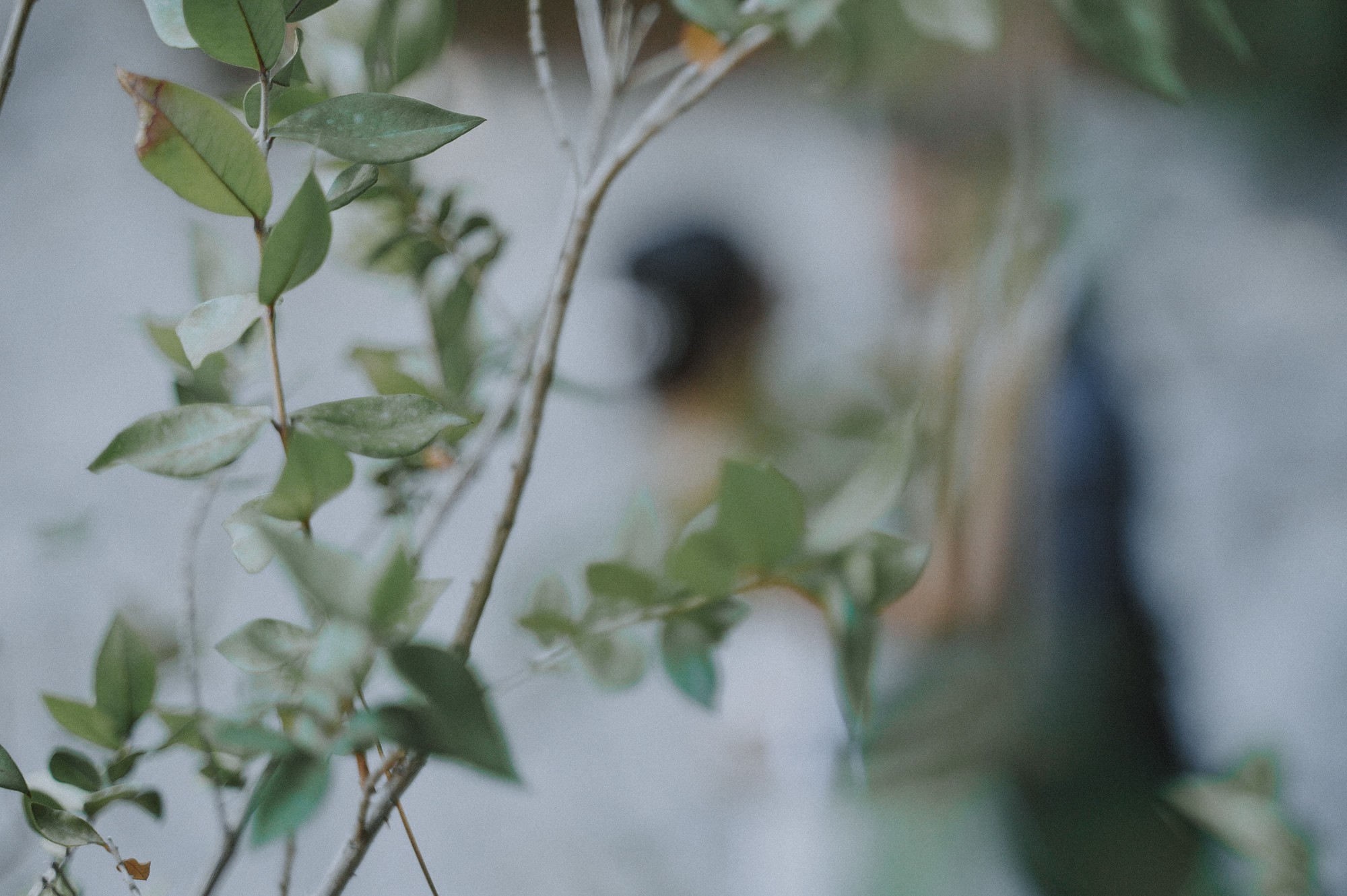 estudionce_javierylucia (76)