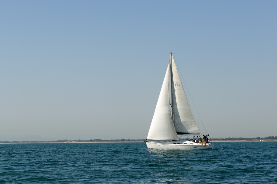 AUROVITAS REG_ (142)