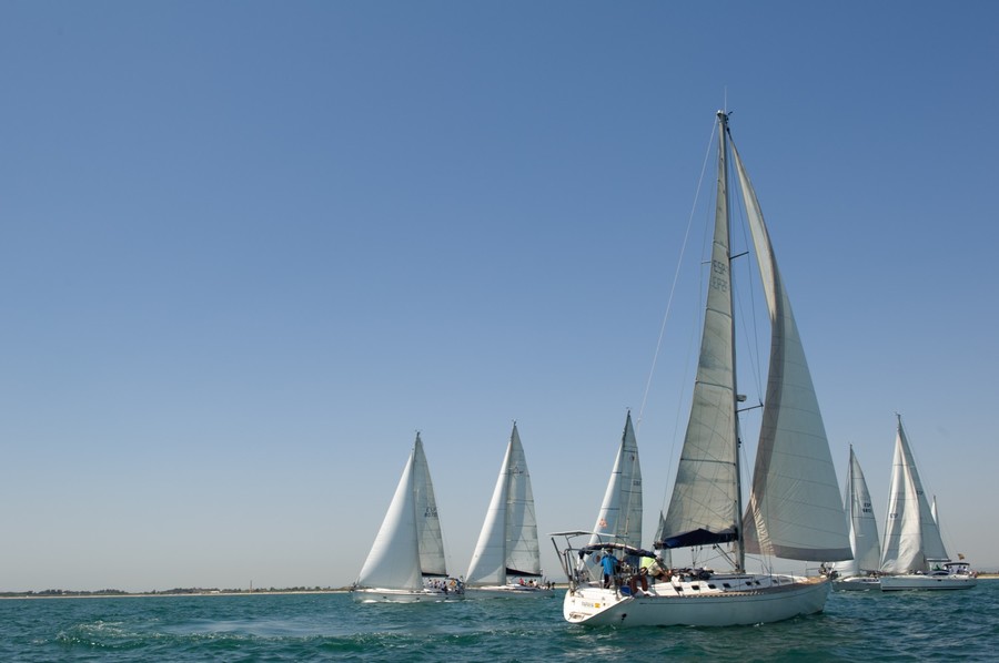 AUROVITAS REG_ (281)