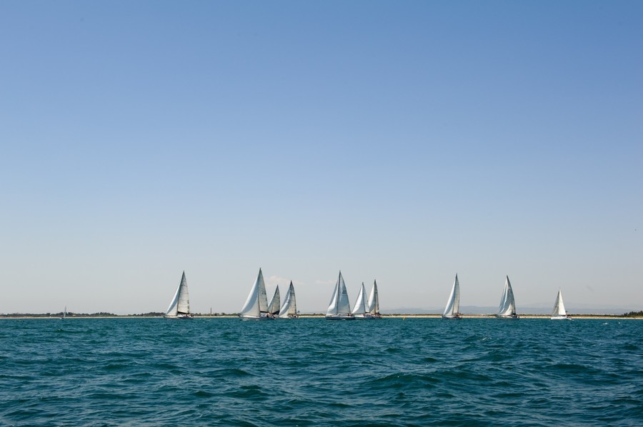 AUROVITAS REG_ (310)