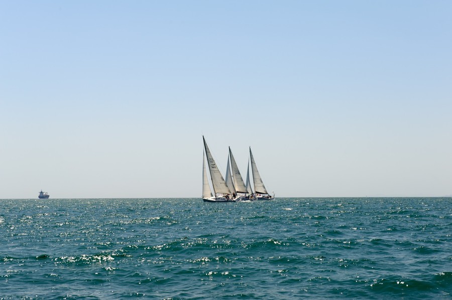 AUROVITAS REG_ (314)