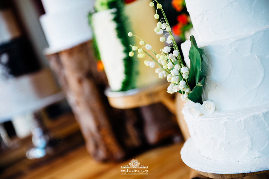  BRIDALPARYTBEUC  (28)