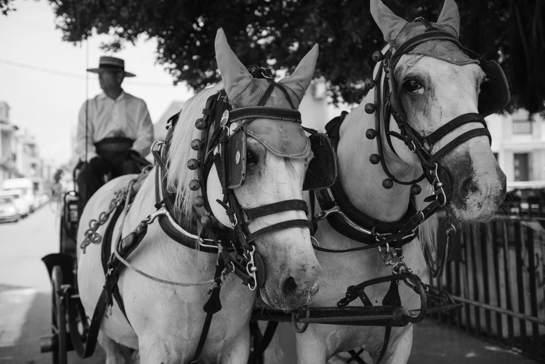 BEATRIZ__405 - copia