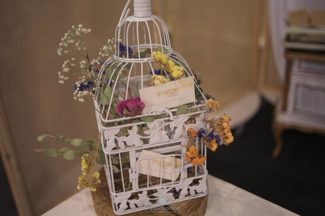 45085792_2056577281076450_8408218777723863040_o_2056577274409784